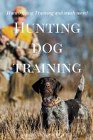 Hunting Dog Training