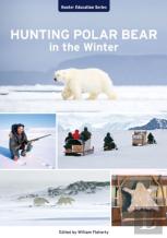 Hunting Polar Bear In The Winter