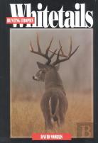 Hunting Trophy Whitetails