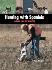 Hunting With Spaniels