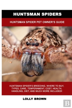 Bertrand.pt - Huntsman Spiders