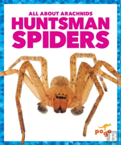 Bertrand.pt - Huntsman Spiders