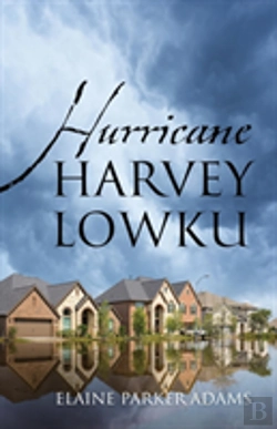 Bertrand.pt - Hurricane Harvey Lowku