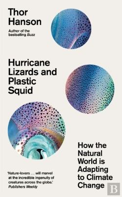Bertrand.pt - Hurricane Lizards And Plastic Squid