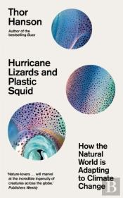 Hurricane Lizards And Plastic Squid