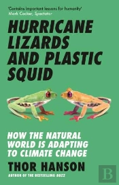 Hurricane Lizards And Plastic Squid