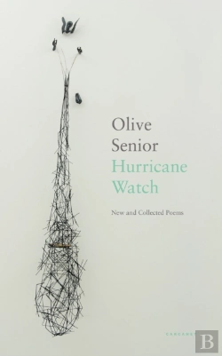 Bertrand.pt - Hurricane Watch