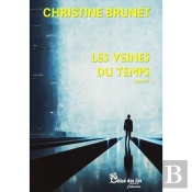 Hx13 Tome 3 : Les Veines Du Temps