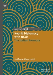 Hybrid Diplomacy With Ngos