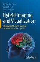 Hybrid Imaging And Visualization