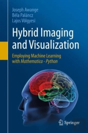 Hybrid Imaging And Visualization