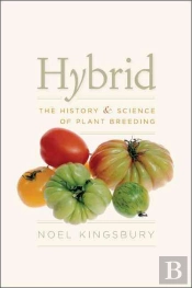 Hybrid