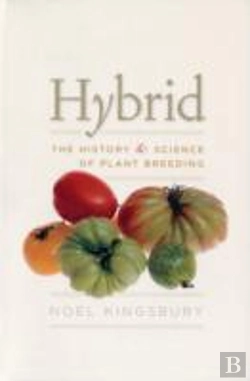 Bertrand.pt - Hybrid