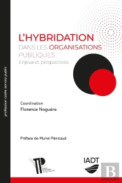 Hybridation Dans Les Organisations Publiques