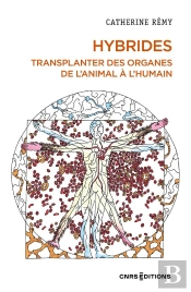 Hybrides : Transplanter Des Organes De L'Animal À L'Humain