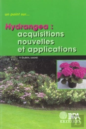 Hydrangea.