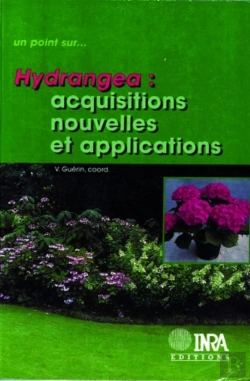 Bertrand.pt - Hydrangea