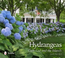 Bertrand.pt - Hydrangeas
