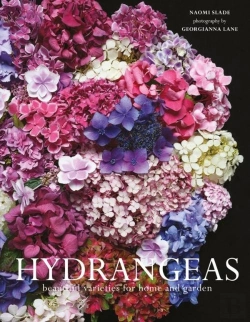 Bertrand.pt - Hydrangeas
