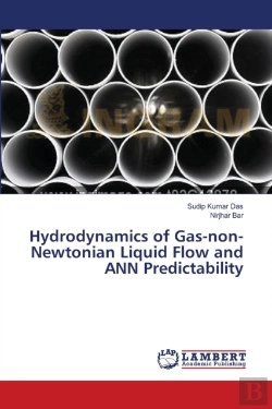 Bertrand.pt - Hydrodynamics Of Gas-Non-Newtonian Liquid Flow And Ann Predictability