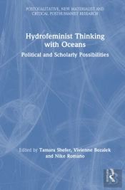 Hydrofeminist Thinking With Oceans