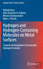 Hydrogen And Hydrogen-Containing Molecules On Metal Surfaces