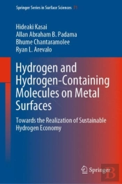 Hydrogen And Hydrogen-Containing Molecules On Metal Surfaces