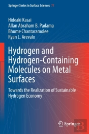 Hydrogen And Hydrogen-Containing Molecules On Metal Surfaces