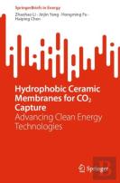 Hydrophobic Ceramic Membranes For Co2 Capture
