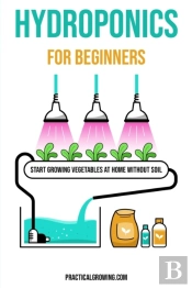 Hydroponics For Beginners
