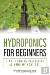 Hydroponics For Beginners