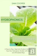 Hydroponics For Beginners