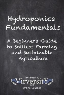 Bertrand.pt - Hydroponics Fundamentals