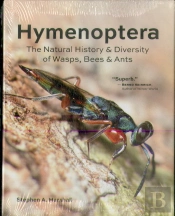 Hymenoptera