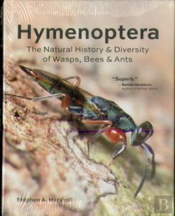 Bertrand.pt - Hymenoptera