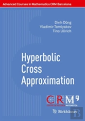 Hyperbolic Cross Approximation