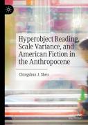Hyperobject Reading, Scale Variance, And American Fiction In The Anthropocene