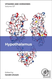 Hypothalamus
