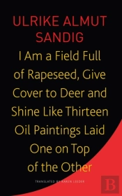 I Am A Field Full Of Rapeseed, Give Cover To Deer And Shine Like Thirteen Oil Paintings Laid One On Top Of The Other
