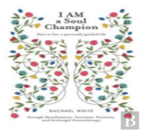 I Am A Soul Champion
