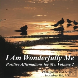 Bertrand.pt - I Am Wonderfully Me