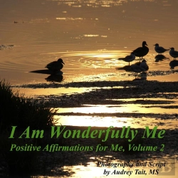 Bertrand.pt - I Am Wonderfully Me