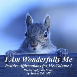Bertrand.pt - I Am Wonderfully Me