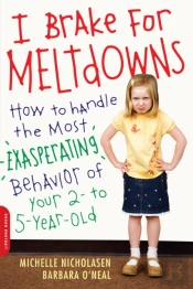 I Brake For Meltdowns