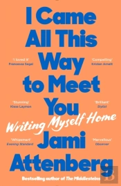 I Came All This Way To Meet You