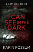 I Can See In The Dark