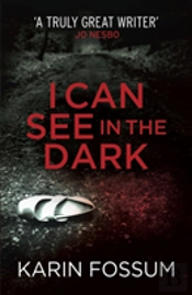 I Can See In The Dark