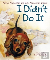 I Didn'T Do It