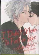 I Didn'T Mean To Fall In Love -Double-