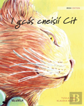 I Gcas Cneisii Cit